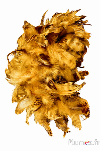 Gallina - 5-9 cm - giallo-bruno 